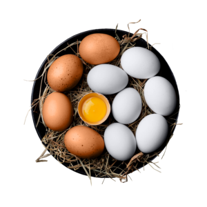 Farm Fresh Organic Eggs (Pack of 12)